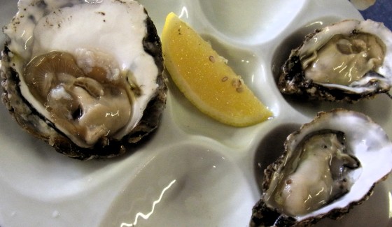 Left: Colchester Native (seasonal local oyster); Right: Gigas (available all year round)